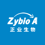 ZYBT